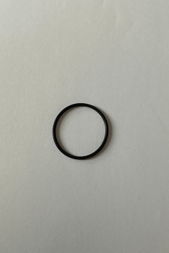 09100107743 O-Ring φ29.87×1.78